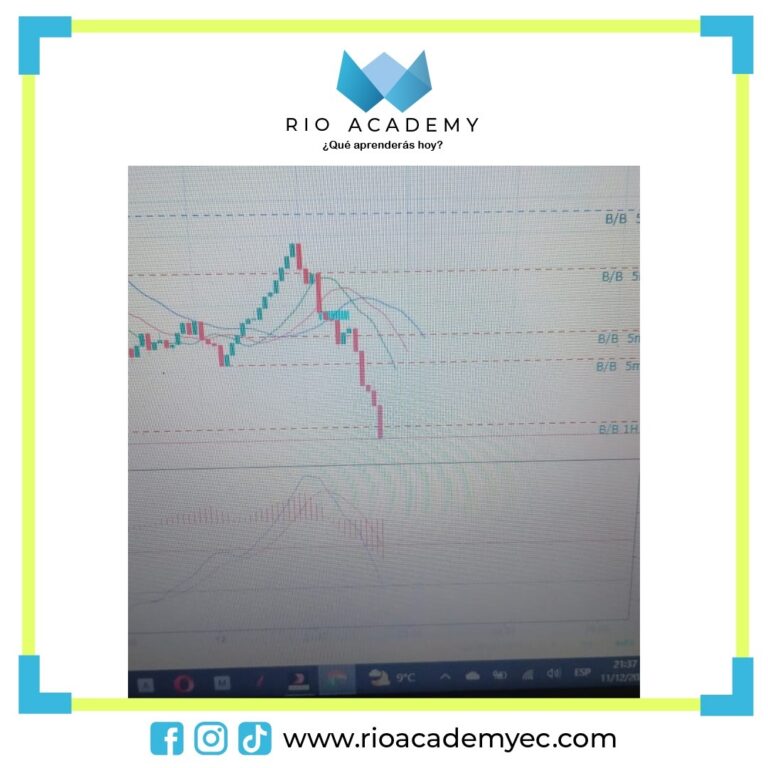 77cea305-27b9-43fb-b132-42a3c5cc8eb4