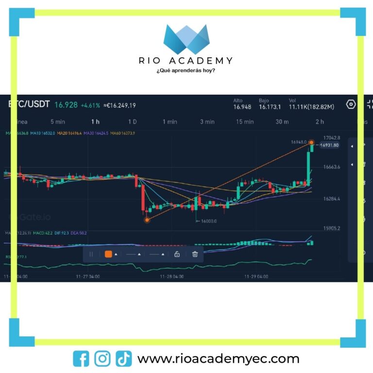 8c3811e6-f0a0-4b26-aea6-de8ee4245810