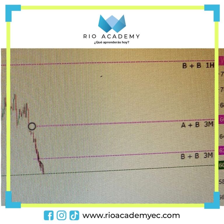 f9b5d6e6-0dff-4070-bd81-f54954e67117